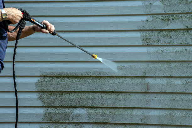 Best Soft Washing for Delicate Surfaces in Sullivan, IN